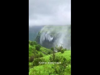Удивительный обратный водопад в Индии