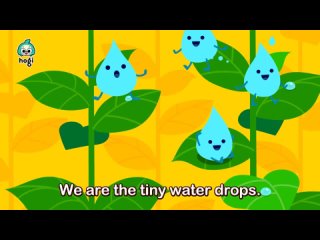Why does Water Fall from Sky   Water Drop Sonata   Nature Song   Learn and Play Science with Hogi