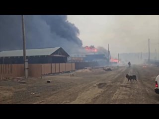 Видео от МЧС | ПОЖАРНЫЕ И СПАСАТЕЛИ | 112,ЧС,ДТП