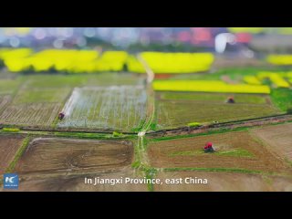 Весеннее земледелие в провинции Цзянси на востоке Китая идет полным ходом