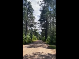 Видео от База отдыха “Август“ РЫБАЛКА Новгородская обл