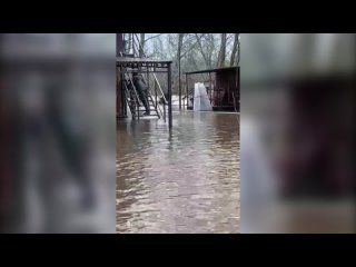 Полицейские Шарлыкского района, прибывшие на помощь своим коллегам в Илек, помогают гражданам в эвакуации в пункты временного