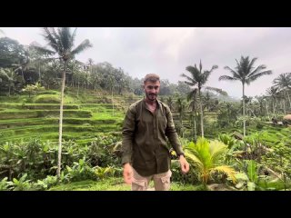 [Жизнь и бизнес на Бали | Рефлектор и Крипта] Советы самому себе перед релокацией на Бали | переезд в Индонезию