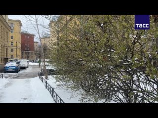 ▶️ Высота снежного покрова на утро 20 апреля достигла в центре Санкт-Петербурга 11 см, сообщил главный синоптик города Александр