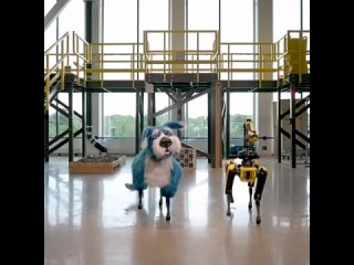 Робот-собака в костюме | Boston Dynamics