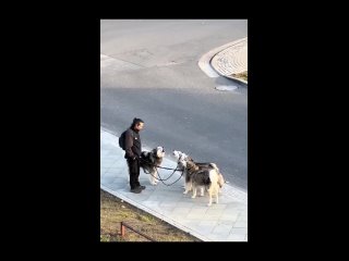 Когда встретились с подружками поговорить о наболевшем.mp4