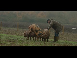 Шоу Ферма Кларксона 3 сезон 2 серия “Свинячество“ в озвучке ColdFilm
