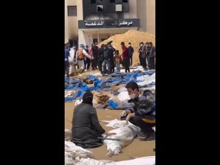 Sono oltre 200 i corpi rinvenuti finora in una fossa comune situata in ci che resta dell'ospedale Nasser