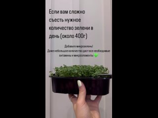 Video by Проростки. Витграсс. Микрозелень Новосибирск