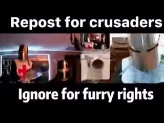 report for crusaders ignore for furry rights