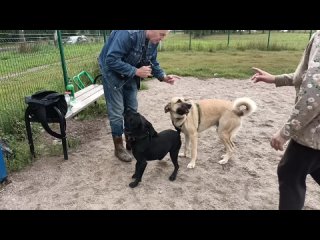 Марс & Чибо 



Зоопсихолог 🐾 Жил Был Кинолог 🐕 Моя Жизнь Кино 🎬 Музей Псов