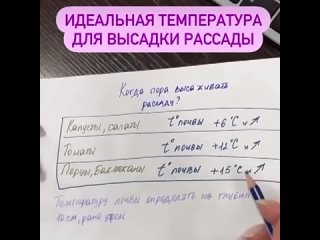 идеальная температура для высадки рассады