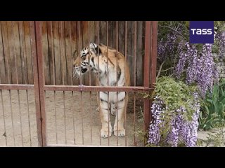 An animal sanctuary in the embattled Zaporozhye Region