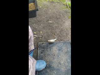 Видео от Семейная рыбалка