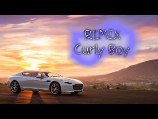 PONTYBUTT - Curly Boy (Remix By. Gabel 2007)