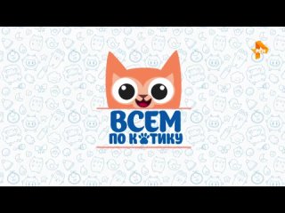 Всем по котику  Выпуск 20