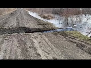 Видео от Новости Томска, объявления, работа.