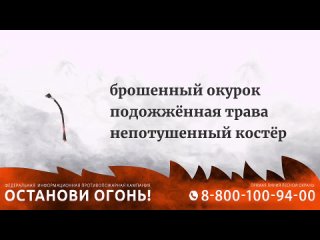 Видеоролик_Останови огонь!.