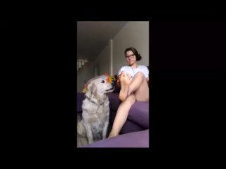 dog licking girls feet