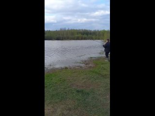 Video by МЕРЛЕЕВО-РЫБАЛКА ОТДЫХ У ВОДЫ