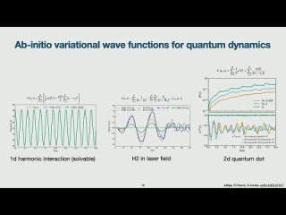 Ab-initio variational wave functions for the time-(in)dependent many-electron Schrödinger equation