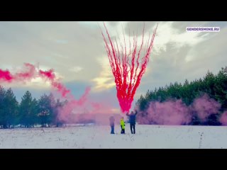 Дневнои веерныи салют на гендер пати в Нижнем Новгороде