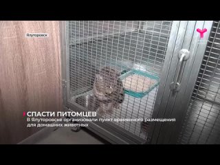 Video by Будь В Курсе! - Ялуторовск, Заводоуковск
