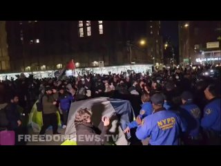 WATCH: Police clash with Pro-Palestine protestors in New York