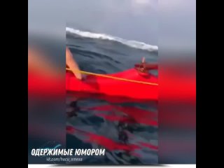 Одержимые юмором