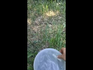 +1 фобия  🐍Змея заползла в ботинок жительницы Анапы, стоявший на пороге дома  Это очень напугало женщину и она вызвала... (видео)