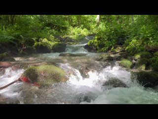 Вниз по Бешенке.  На склонах Ачишхо берет свое начало одна из самых красивых и бурных горных речушек с холодной... (видео)