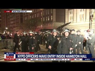 En Nueva York, la polica irrumpi en uno de los edificios de la Universidad de Columbia, que fue tomado por manifestantes pro p