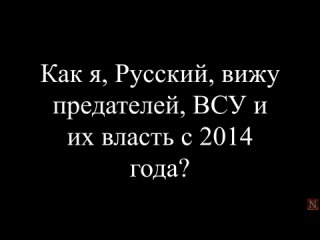 ВСУ и предатели глазами Русского.