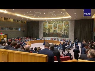 Die Hälfte der Anwesenden im UN-Sicherheitsrat verließ den Saal vor der Rede des Ständigen Vertreters Israels, berichtet ein TAS