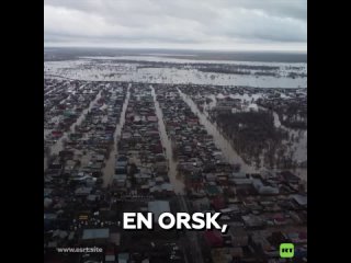 Rescatan animales en la ciudad rusa de Orsk, afectada por inundaciones