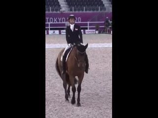 Video by   Лошади и конный спорт