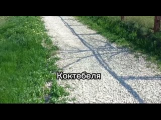 Ветеран труда благоустраивает Коктебель