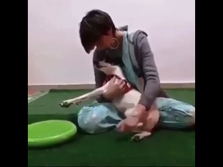 Женщина помогает собаке снова начать ходить
