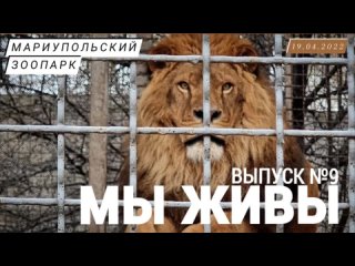 МАРИУПОЛЬСКИЙ ЗООПАРК. МЫ ЖИВЫ выпуск №9 военкор Марьяна Наумова