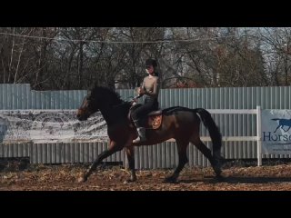 Видео от Частный конно-спортивный клуб «Ligray»|«Лигрей»