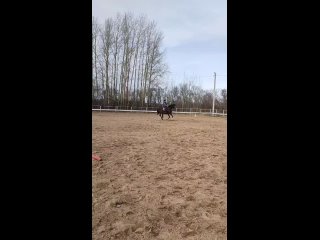 Видео от В седле Чебоксары