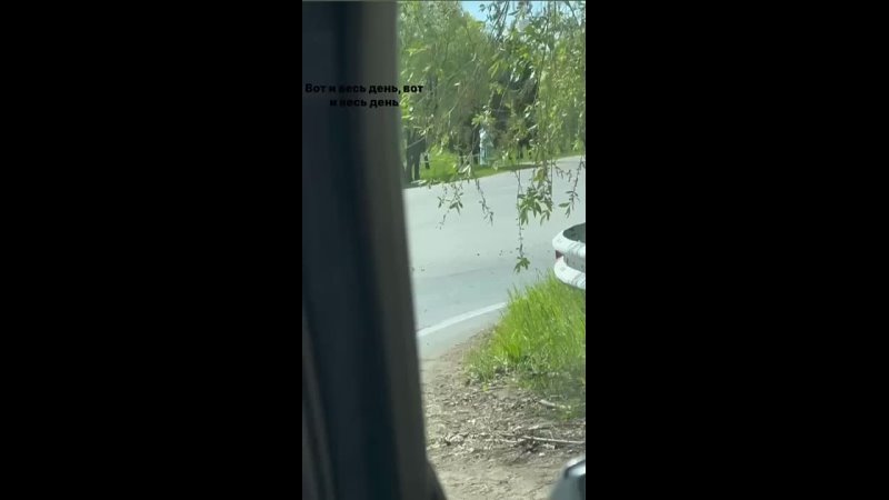 Мир не без добрых людей!  Птенец заблудился на дороге в Нижнекамске, а водитель помог ему выбраться ❤ (видео)