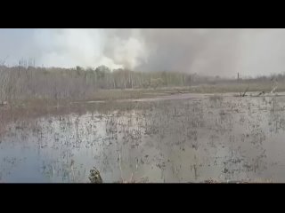 Лесные пожары бушуют в Хабаровском крае,  СМИ.