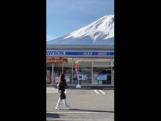 В Японии построят огромный барьер, чтобы загородить туристам вид на гору ФудзиВласти города Фудзикавагутико хотят таким обр