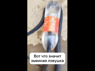 Video by Все о даче