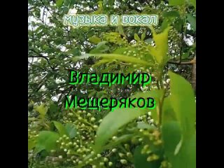 _Свет души_ песня на стихи Галины Ляшенко_ музыка и вокал Владимира Мещерякова(720P_HD).mp4