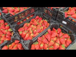 Видео от Фрукты и Овощи (Копейск)