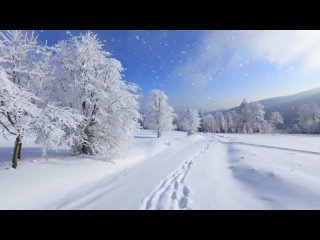 Сергей Чекалин - Падал снег. Очень красивая мелодия