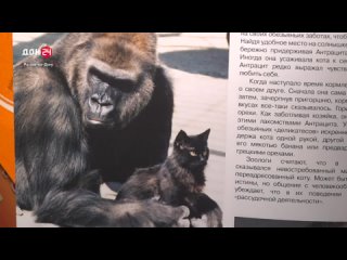 «Кто, если не я?»: Клавдия Мирошникова – хранительница памяти Ростовского зоопарка