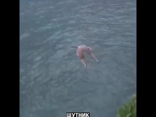 Видео от ШУТНИК